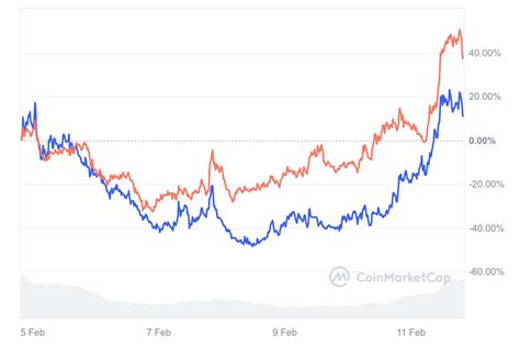 Whale, Market Capitalization, Trading Competitions
